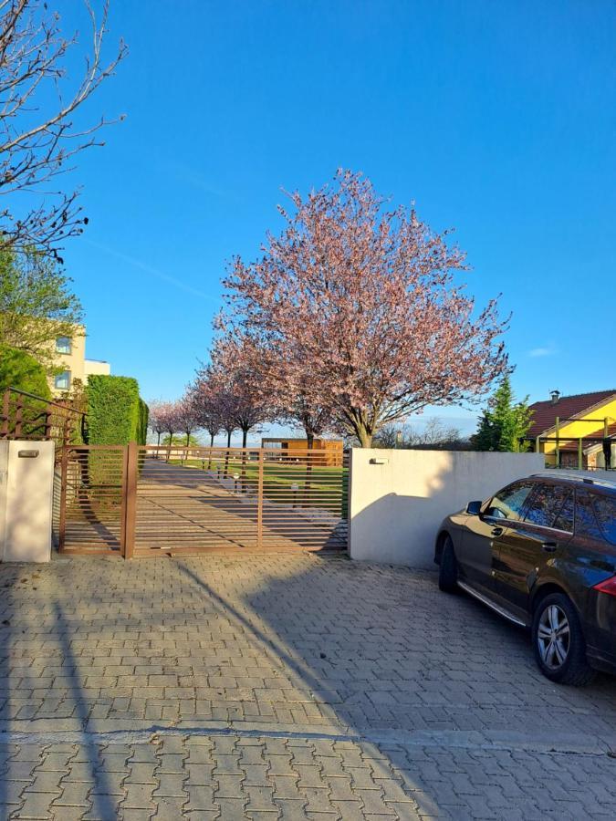 Villa Sunny Side Apartment Skopje Dolno Solnje Zewnętrze zdjęcie